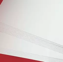 White cardstock1.jpg