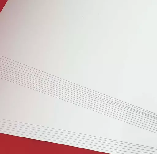 White cardstock1.jpg