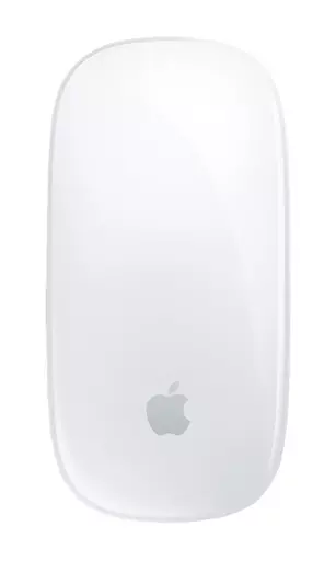 Apple Magic mouse Ambidextrous Bluetooth