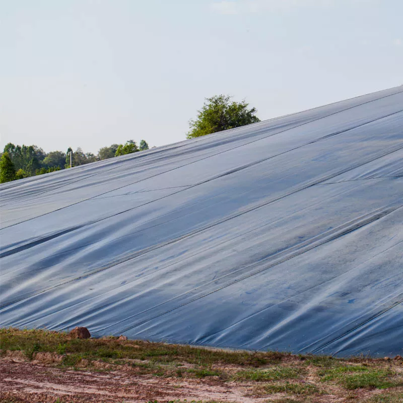 Silage-Sheets.jpg