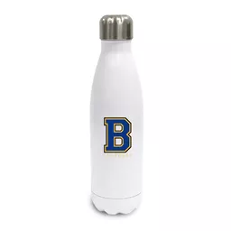 500ml Screw Top Bottle.png