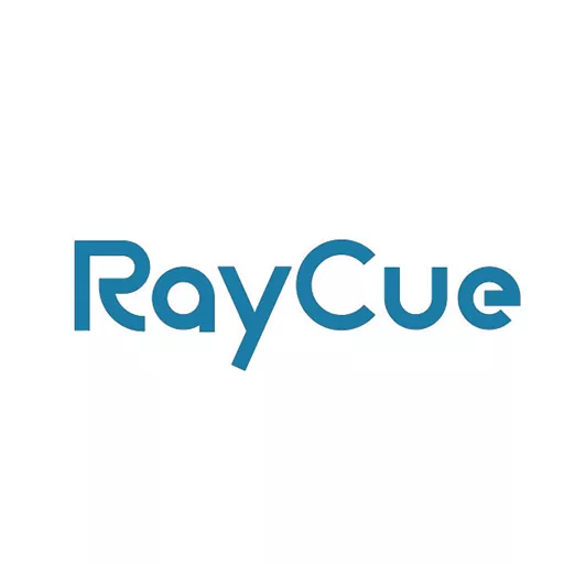 RayCue - 1.2m (3A) USB to USB-C Nylon Braided Cable - Black