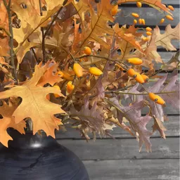 Screenshot 2026-01-28 at 11.40.16.jpg