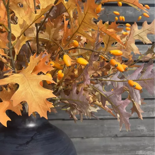 Orange Rosehip Spray Branches
