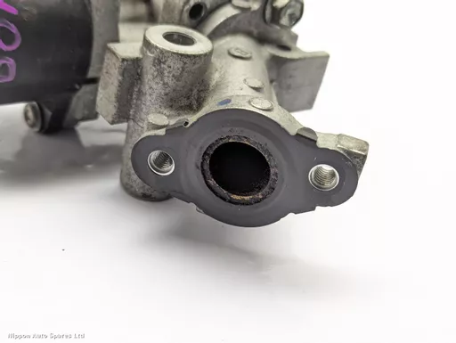 00297095-0bf3-4988-bc0e-e673fb7b1841.jpeg?