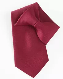 Clip-On Tie