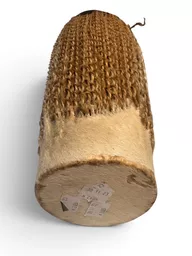 big skin drum 3.jpg