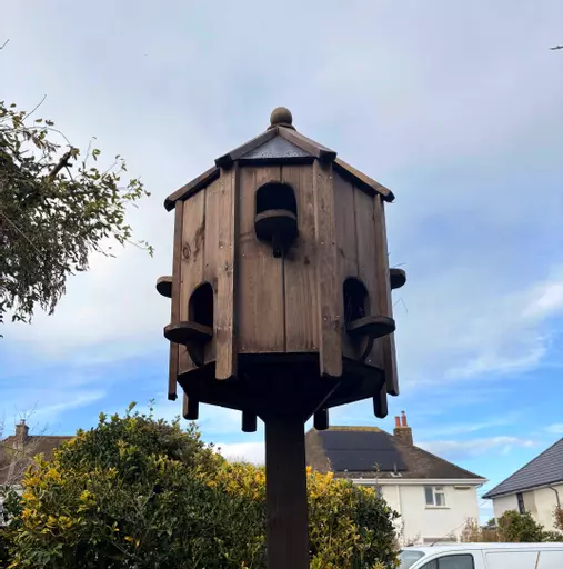 Dove Cote Medium on Pole Close up.jpg