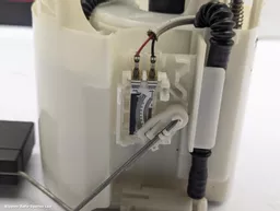 a0f9ef51-5024-4f45-9824-0f69276f4cef.jpeg?