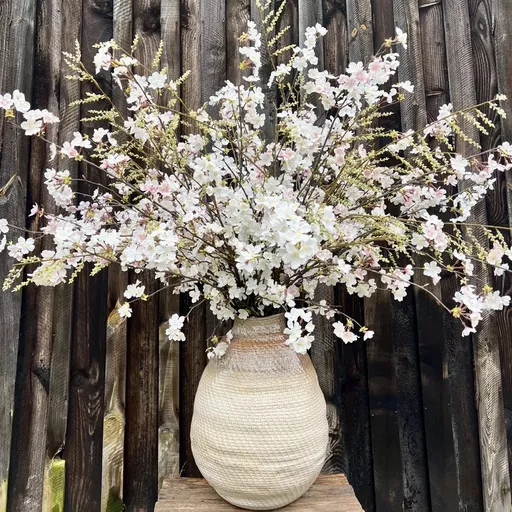 Screenshot 2026-01-28 at 10.34.11.jpg