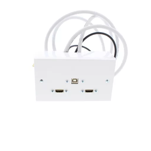 Double Gang  2 x HDMI & USB-B Wall Plate (1M to 5M)