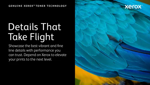 y9cyXZ33ikuU1nGrrNIq5w.c-r.jpg?