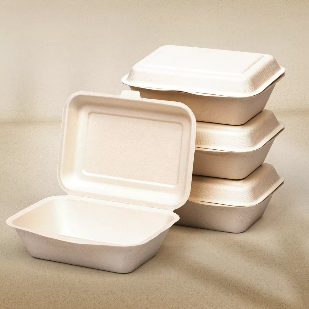 What is Bagasse? 8 Reasons Sugarcane Fibre is the Leading Alternative to Plastic Packaging