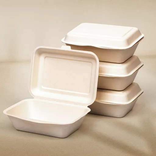 Bagasse Group Picture Square.png