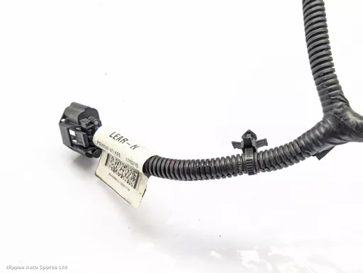 06cf4c70-1e69-4dc5-ad02-cb99eabe1d55.jpeg?