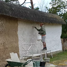 Limewash in use on a cob wall.