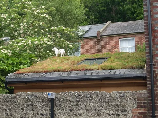 GrufeKit GrufeGuard Trim Installed on a Green Roof.jpg