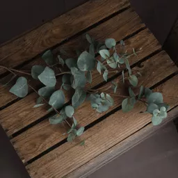 1636024172-09470100.png?