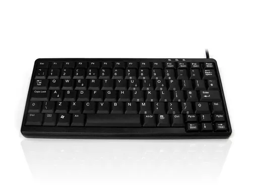 s237ahEhQkuVOifqwLNPAg.c-r.jpg?