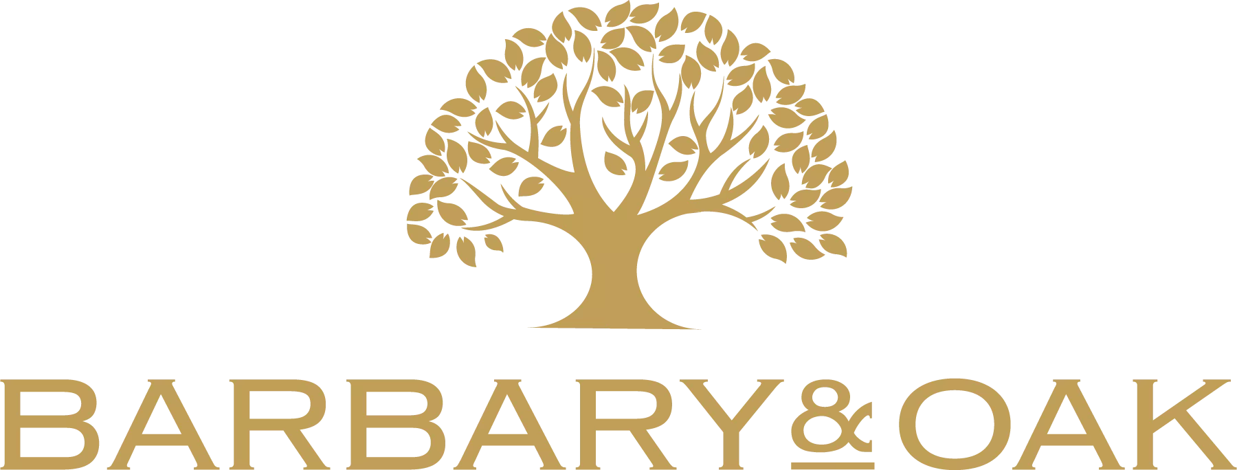 b&opic.png