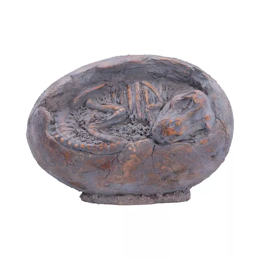 Tyrannosaurus Rex Egg