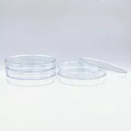 17702090384309f12a86ed166827cee11ac3d12775.png?