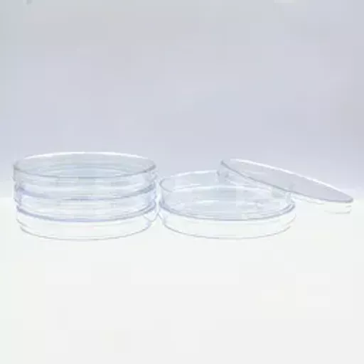 17702090384309f12a86ed166827cee11ac3d12775.png?