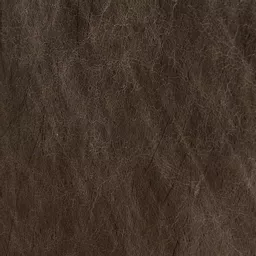 1498479303-21772600.jpg?