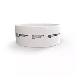 mockup-1771523036013-1-0.jpg?