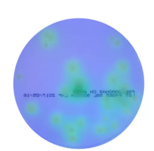 16516540038a41eff0cb1c0217d435ee6baab537e3.PNG?