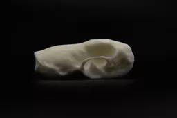 Weasel 1.jpg