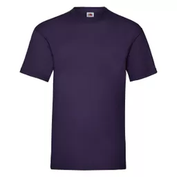 Men's Valueweight T-Shirt