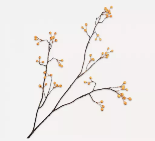 Yellow Berry Spray Branches