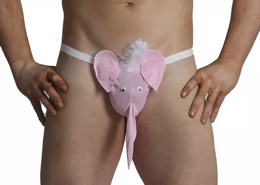 Sexy Mens Novelty Elephant Thong