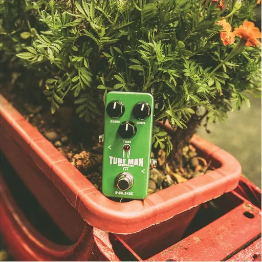 1705413912-54724300.jpg?