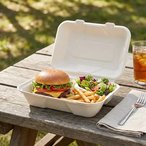 _0000s_0002_9 x 6_ Bagasse Food Container.jpg
