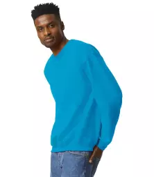 GD56%20SAP%20MODEL%203.jpg?