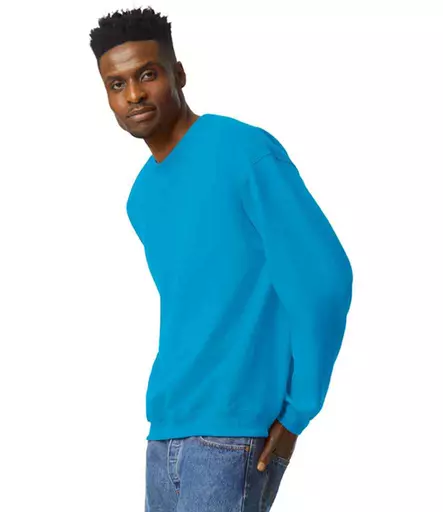 GD56%20SAP%20MODEL%203.jpg?
