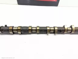 38cca813-0d80-4ad2-b1cf-98e99929a3b8.jpeg?