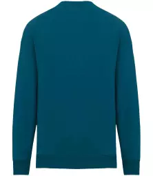 NS407%20PCKG%20BACK.jpg?