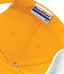 BB10%20GOL%20DETAIL%202.jpg?