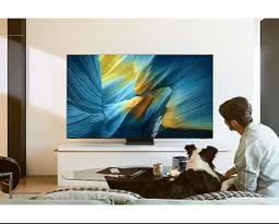 uk-oled-tv-qe83s95faexxu-qe--s--fatxxu-546604821.png