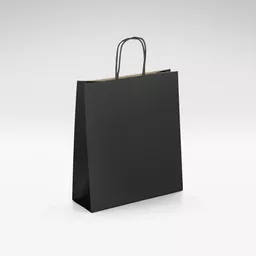 Natural-kraft-black-twist-handles-bag-Small.jpg