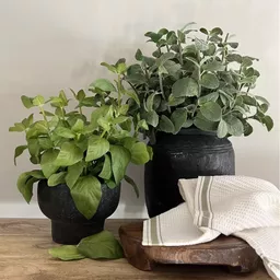 Screenshot 2026-01-28 at 11.55.18.png