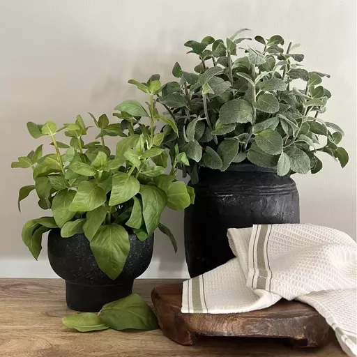 Screenshot 2026-01-28 at 11.55.18.png