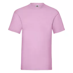 Men's Valueweight T-Shirt
