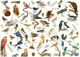 0658556169520_1.jpg?date-modified=2025-12-02