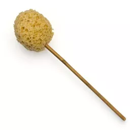 Sponge on Stick 1.jpg