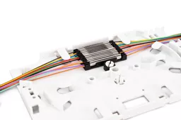 wwotcek1Hkq7BEZFcAjO6g.c-r.jpg?