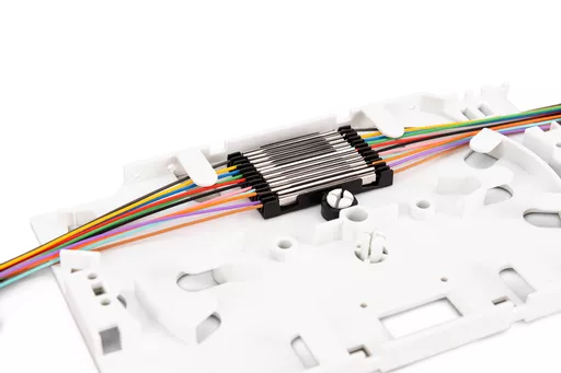 wwotcek1Hkq7BEZFcAjO6g.c-r.jpg?